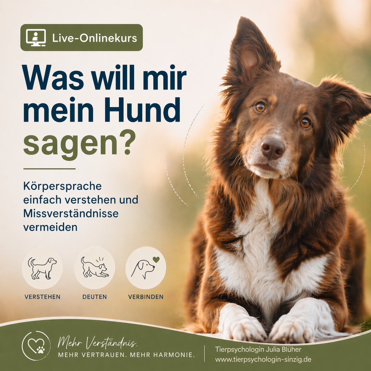 Was will mir mein Hund sagen?